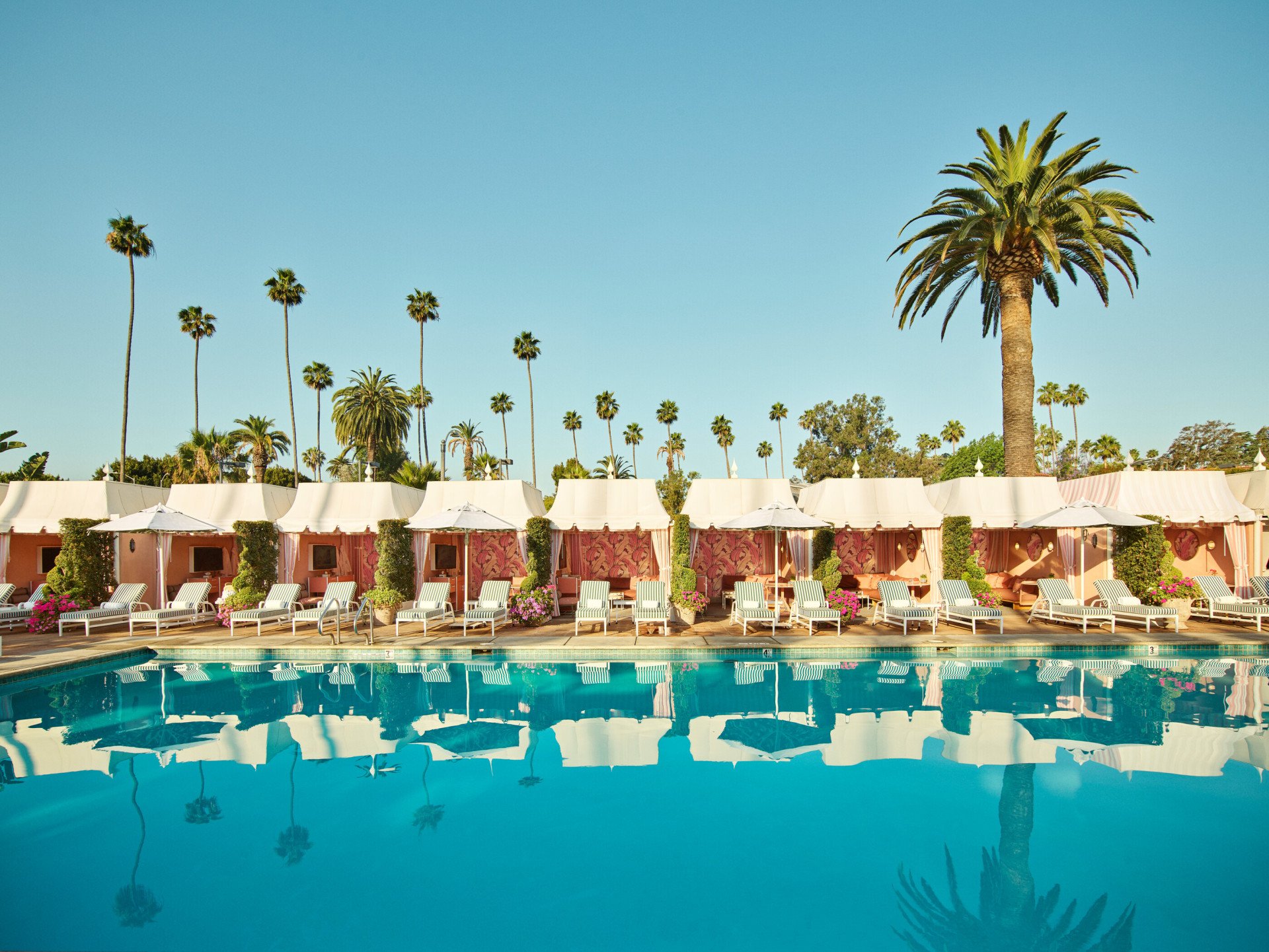 Pink cabanas and loungers beside the pool at The Beverly Hills Hotel