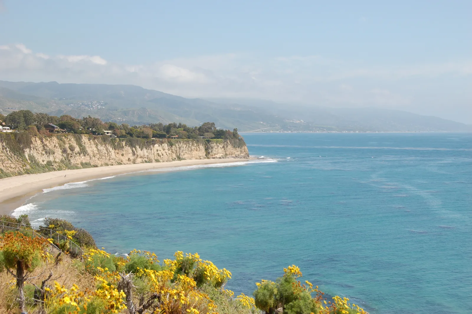 Coastal bluff with yellow wildflowers above turquoise water
