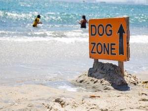 The 'Dog Zone' sign at Rosie's Dog Beach in Long Beach