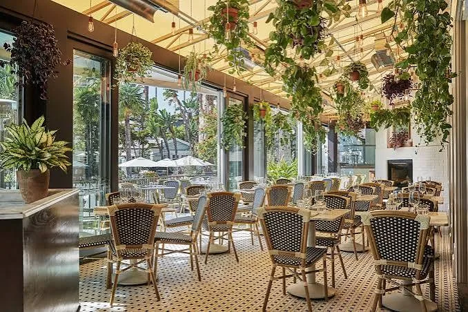 The plant-hung dining room and bistro chairs at FIG