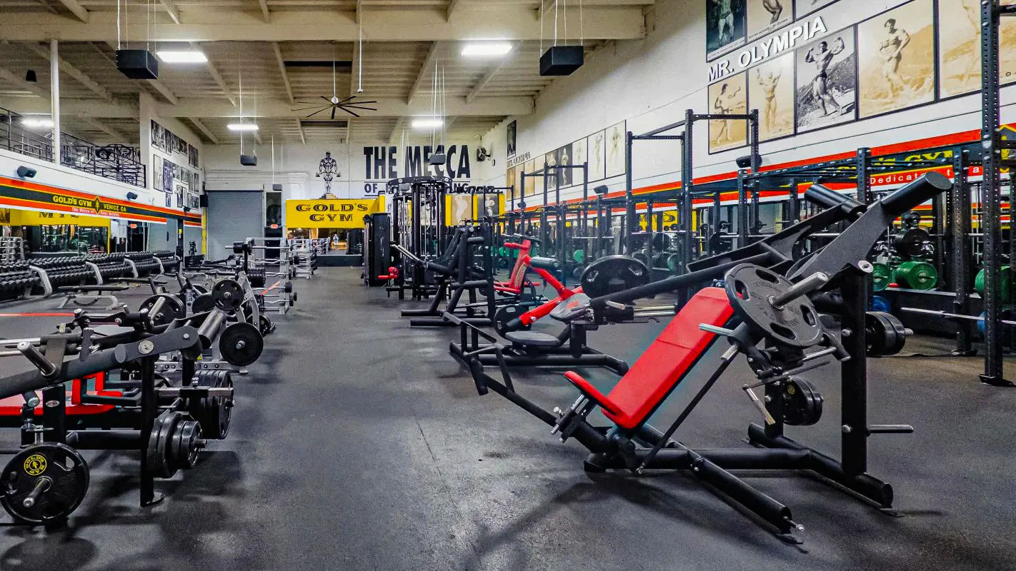 The iconic free-weight floor at the original Gold's Gym in Venice Beach