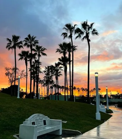 Open green space with harbor views at Shoreline Aquatic Park in Long Beach