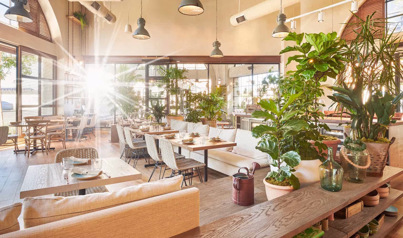 Girl & The Goat LA, sunny indoor dining room in the Arts District