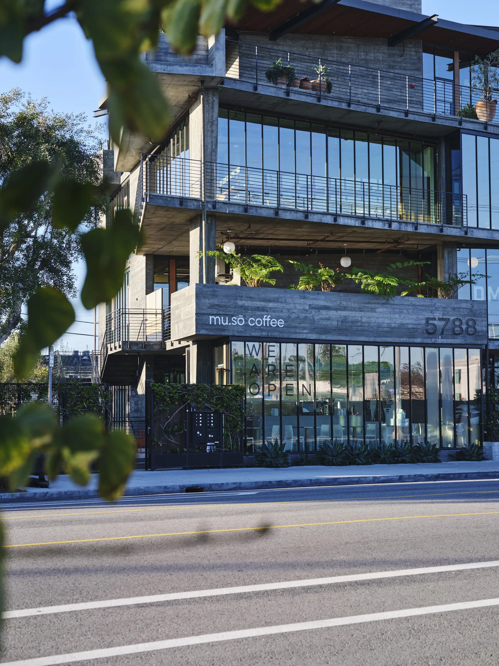 Glass fronted corner cafe with signage, seen through leaves