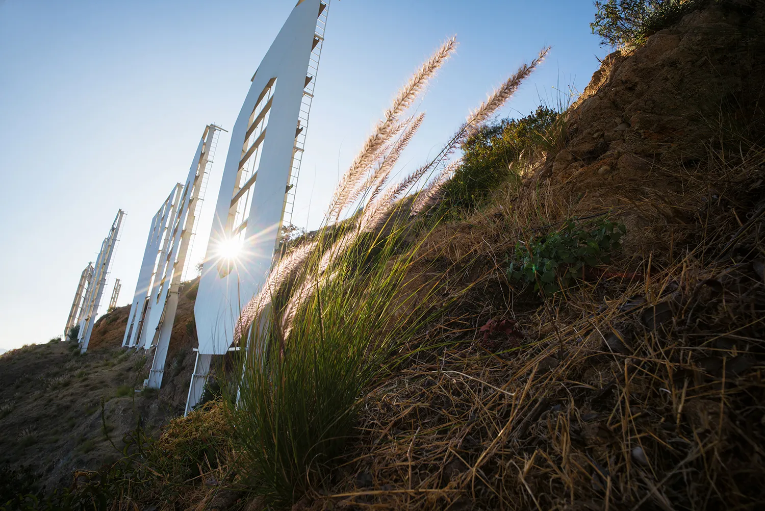 The Hollywood Sign standing on Mount Lee above Griffith Park, the world-famous landmark overlooking Los Angeles.