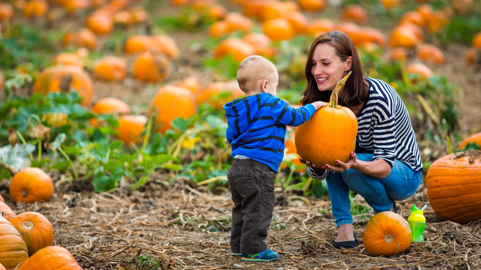 Mom helping baby son pick out a pumpkin from Pumpkin Festival at Cal Poly Pomona in LA County, California for autumn activities