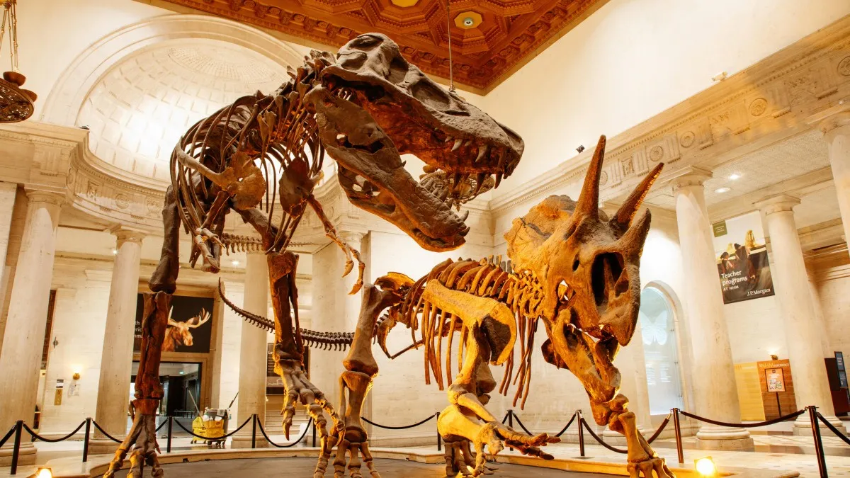 Dinosaur Hall skeletons on display at the Natural History Museum of Los Angeles County.