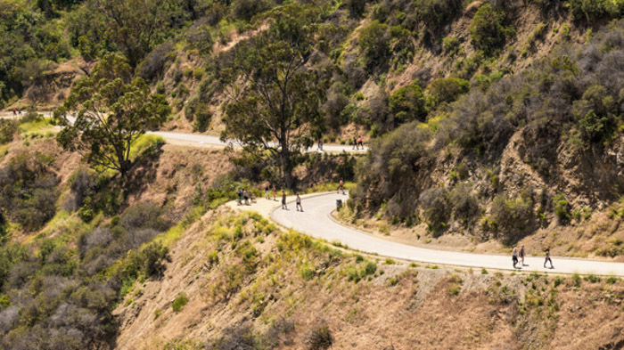 Runyon Canyon hiking trail in the Hollywood Hills