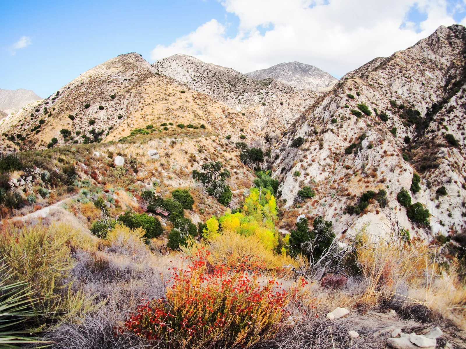 Water cascading over Trail Canyon Falls in Angeles National Forest