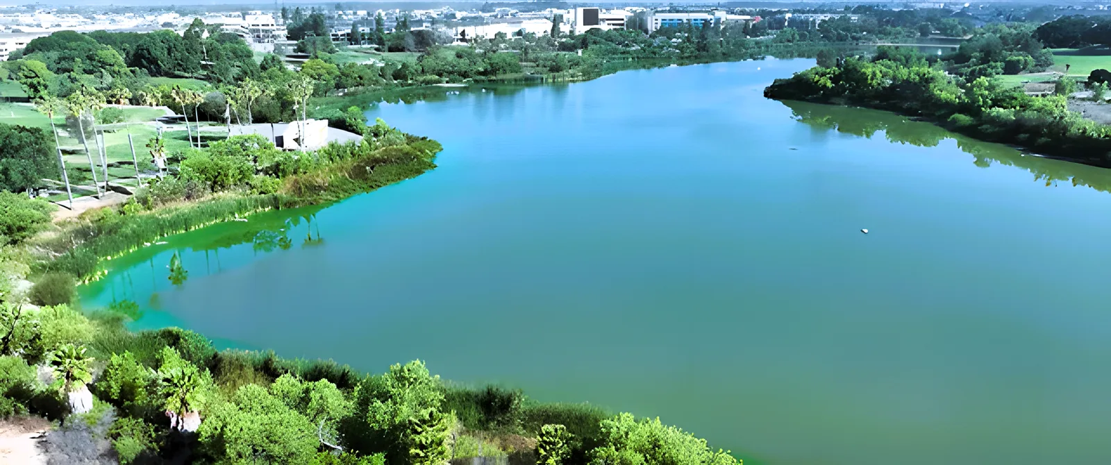 Green lake ringed by trees with distant buildings beyond