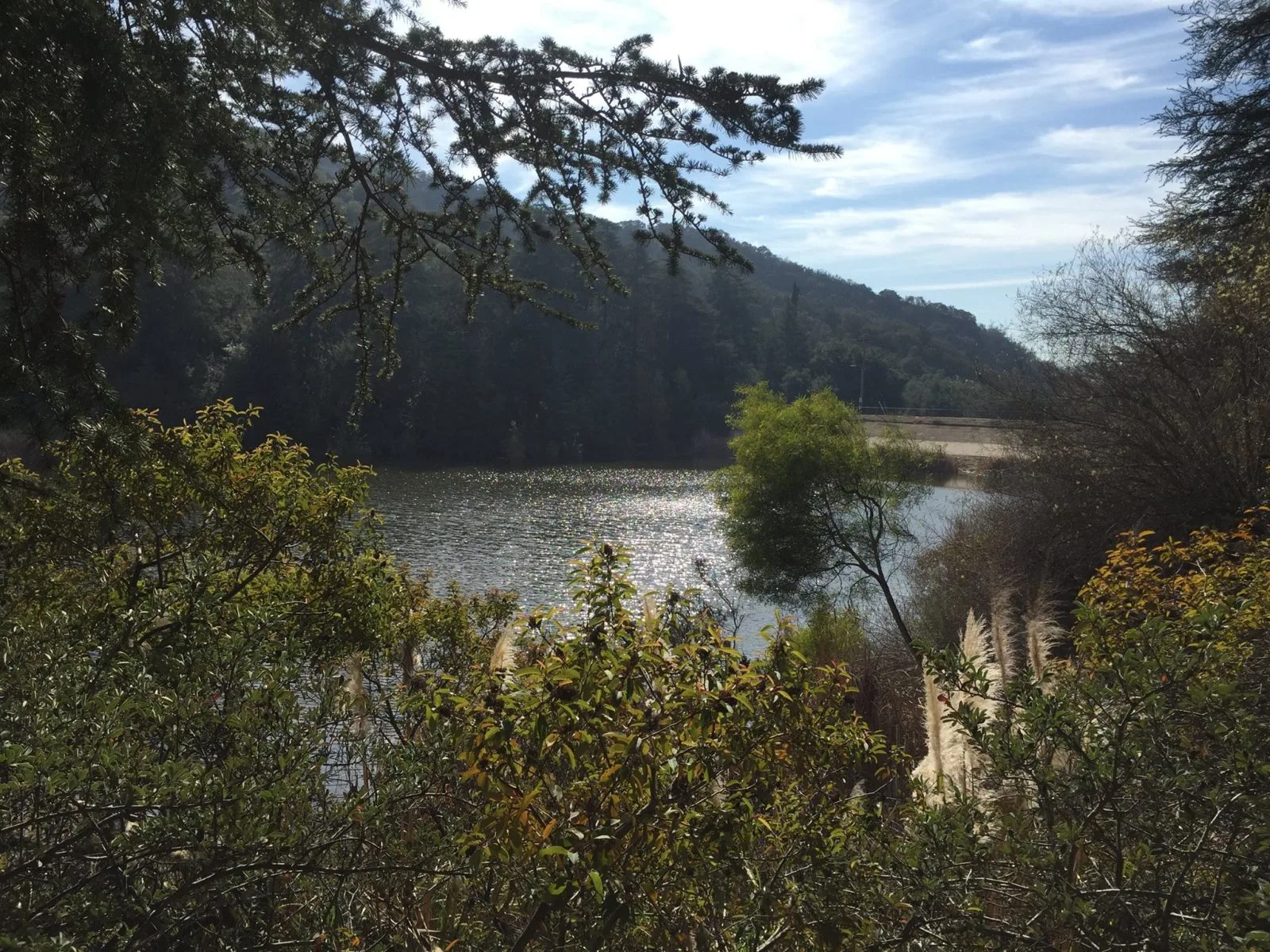 Trees reflected in the calm three-acre lake at Franklin Canyon Park between Beverly Hills and the San Fernando Valley in Los Angeles.