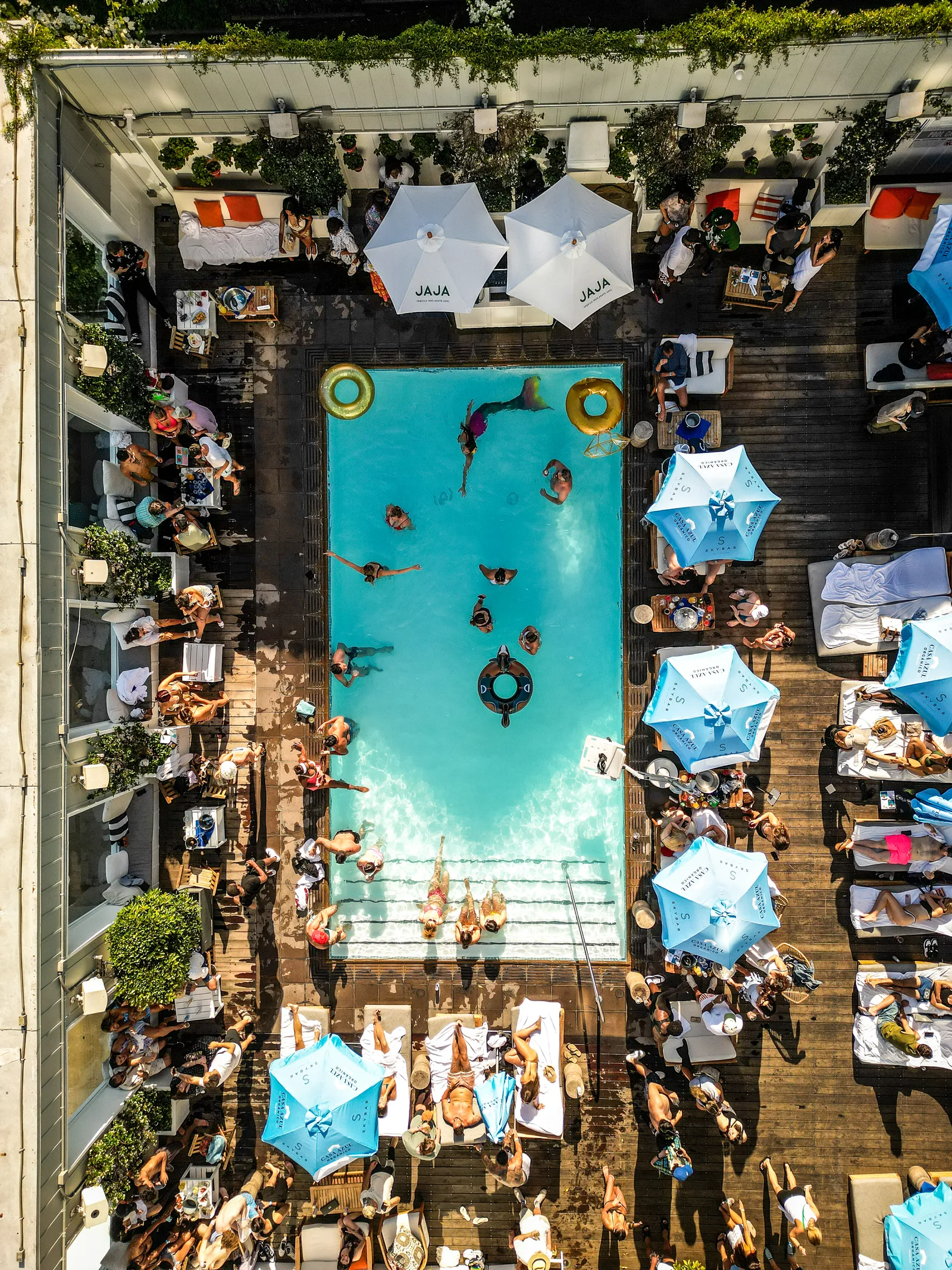 Mondrian Hotel in West Hollywood's classic pool during Hollywood Dive's summer event.
