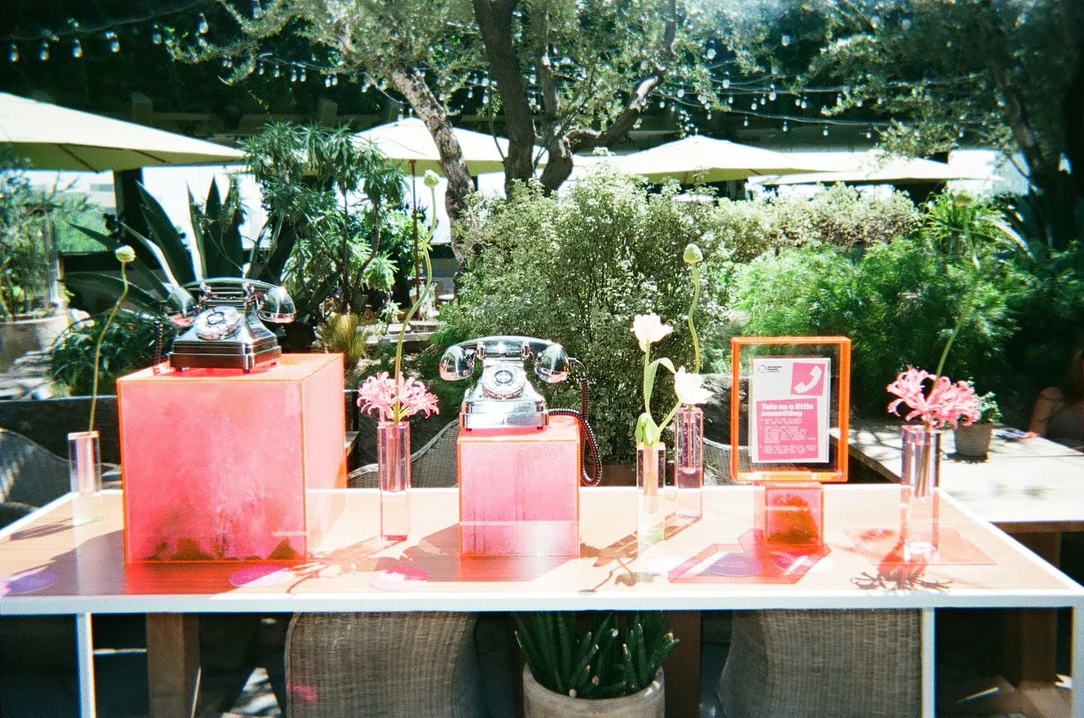 Manychat Instagram Summit interactive setup in the Juniper Garden at 1 Hotel West Hollywood.