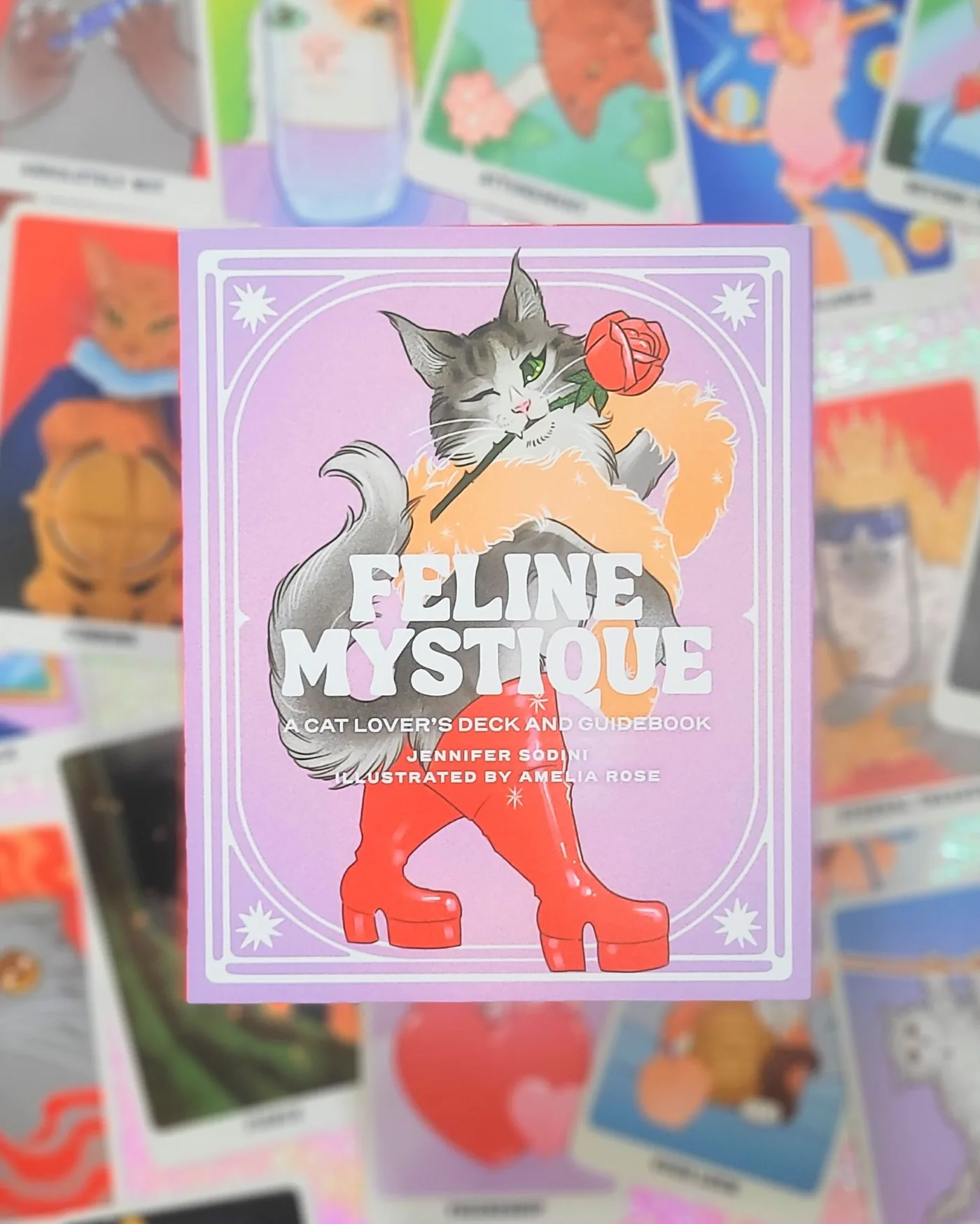 Feline Mystique, A Cat Lover's Deck and Guidebook by Jennifer Sodini, illustrated by Amelia Rose, resting on a spread of cat cards