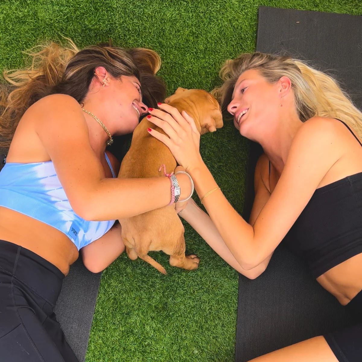 Puppies join a yoga class at Puppy Yoga Club's Venice studio