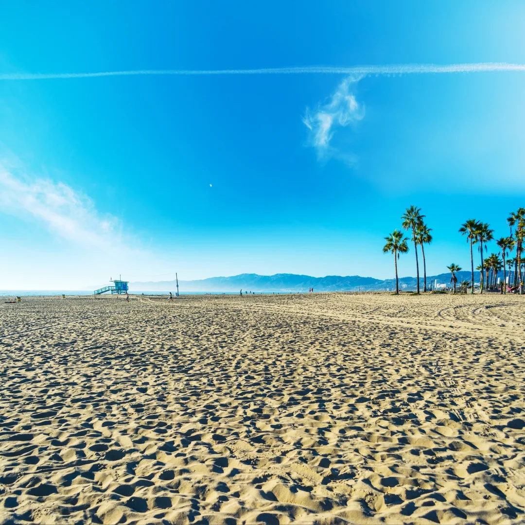 Long stretch of sand at Santa Monica Beach on a clear day with palm trees swaying