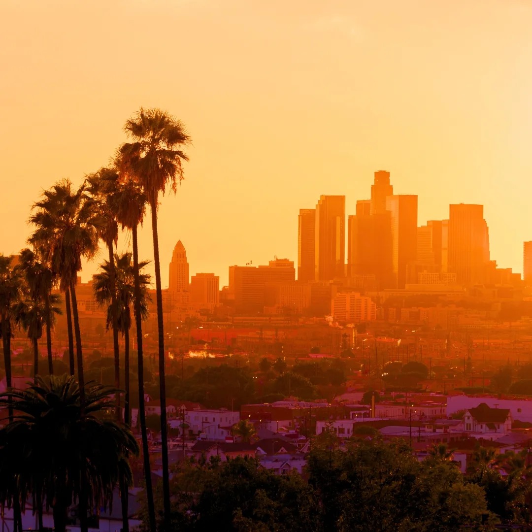 Orange sunset over Los Angeles with the Downtown LA skyline and palm trees in the foreground