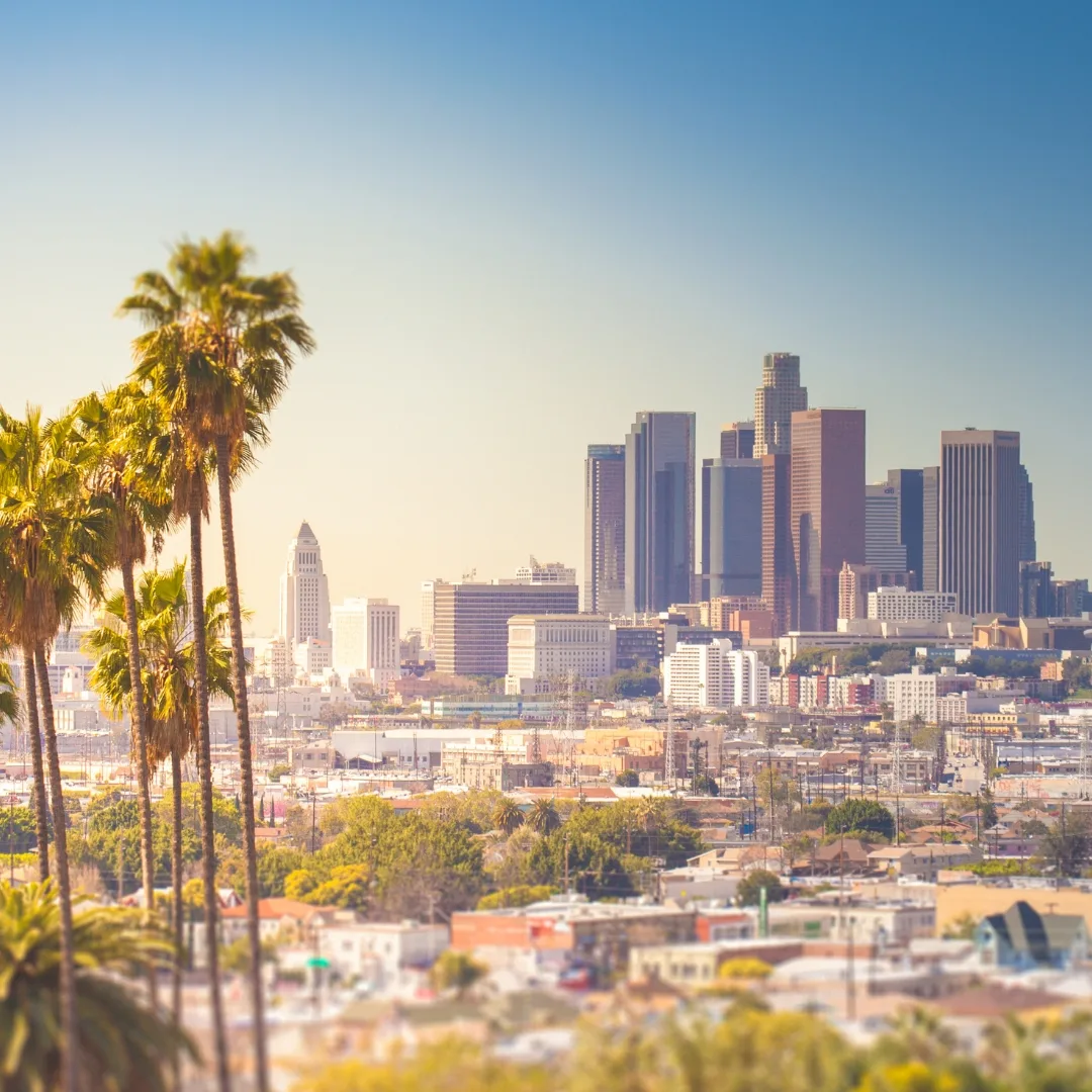 Sunrise over Los Angeles with the Downtown LA skyline and palm trees in the foreground