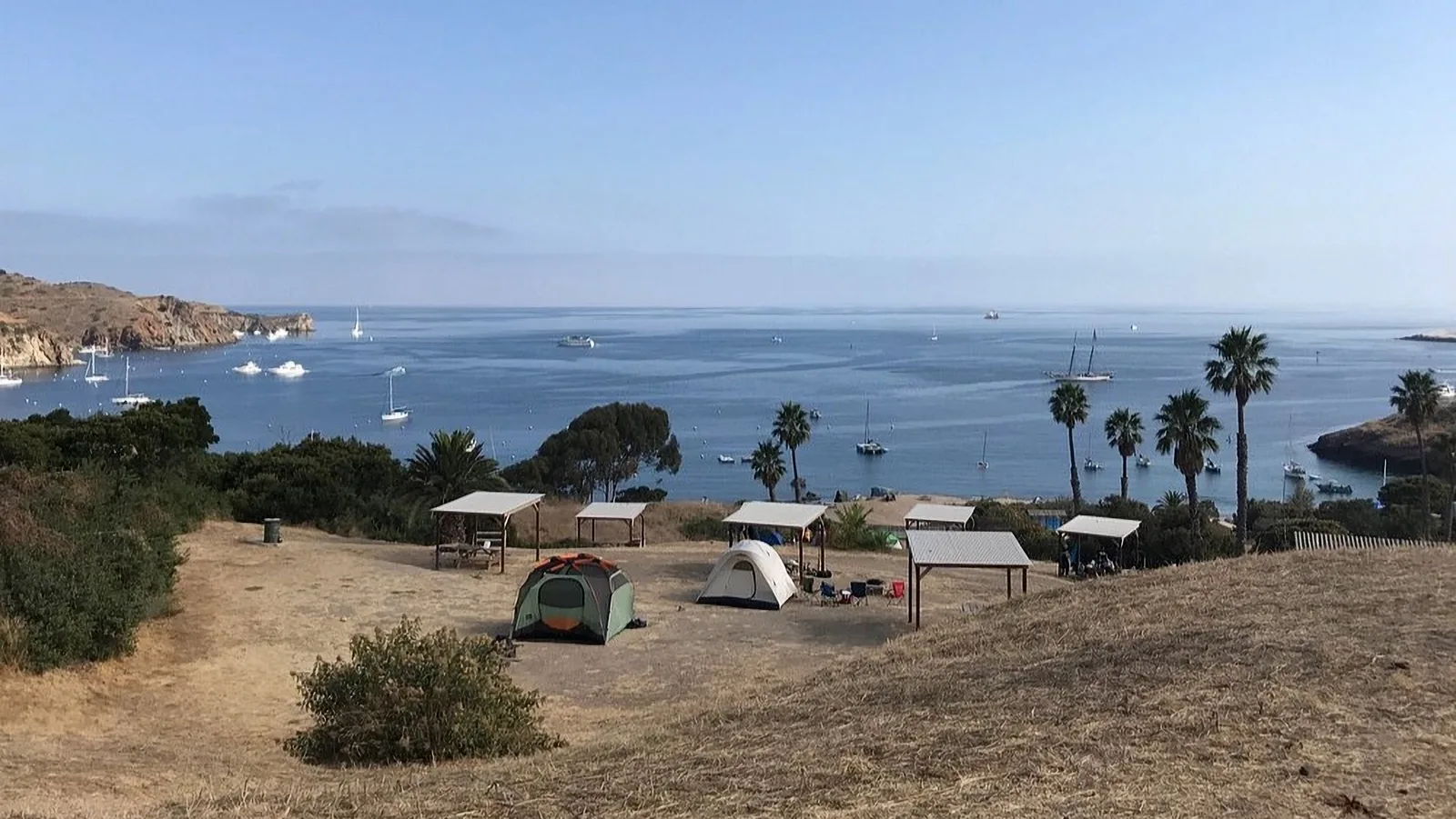 Coastal campsite with tents and shade shelters above a bay full of sailboats