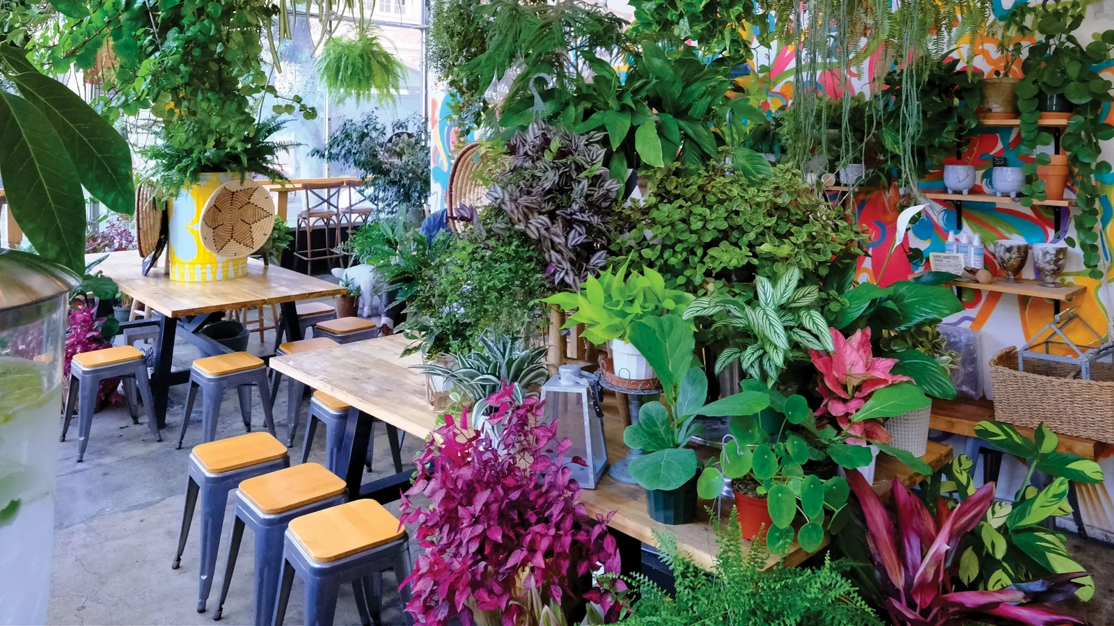 Cafe interior packed with hanging plants, wooden counters and metal stools