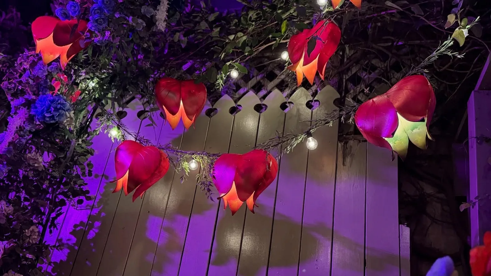 Flower shaped lanterns and bulbs strung along a fence lit purple at night