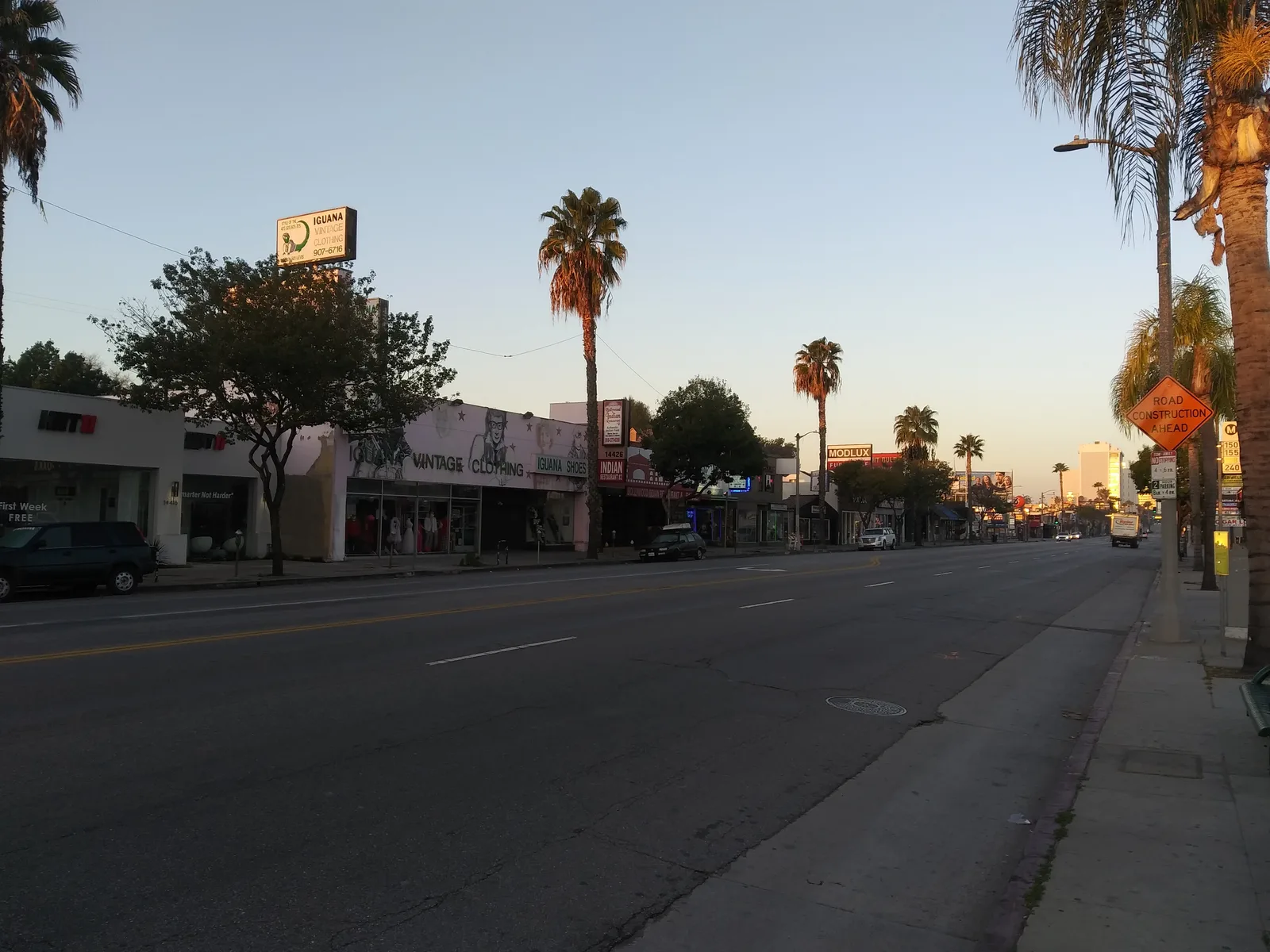 Palm-lined Rodeo Drive with luxury storefronts in Beverly Hills