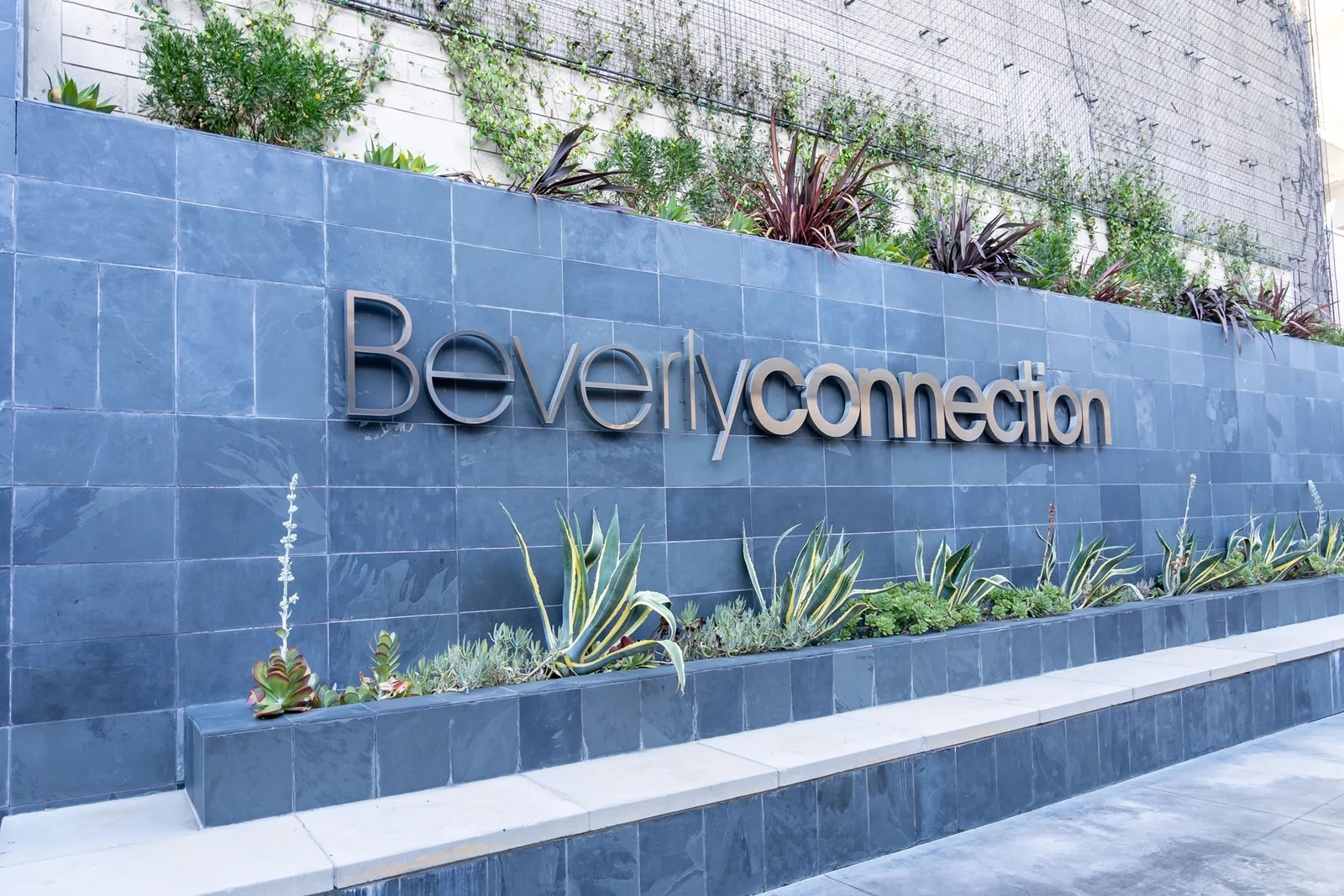Beverly Connection lettering on a slate wall above a succulent planter