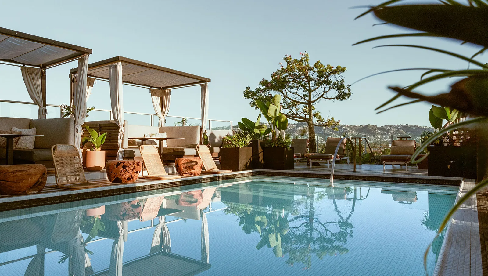 Rooftop pool with cabanas, potted plants and a city view