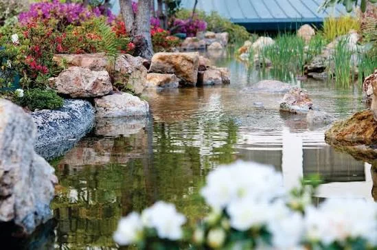 The koi pond and waterfall at the Kyoto Garden on the roof of the DoubleTree in Little Tokyo