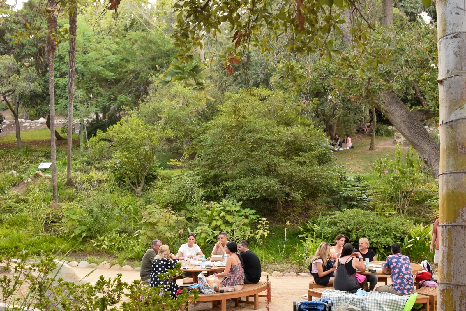 Shaded canyon paths in the Mildred E. Mathias Botanical Garden at UCLA