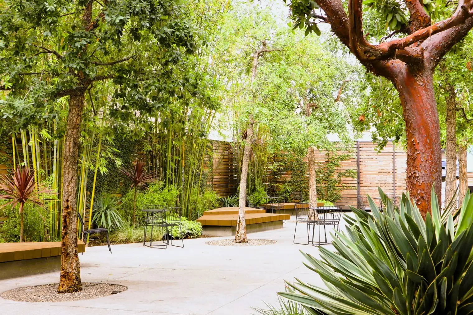 The landscaped garden at ROW DTLA, with bamboo, mature trees and built-in benches between the warehouse buildings