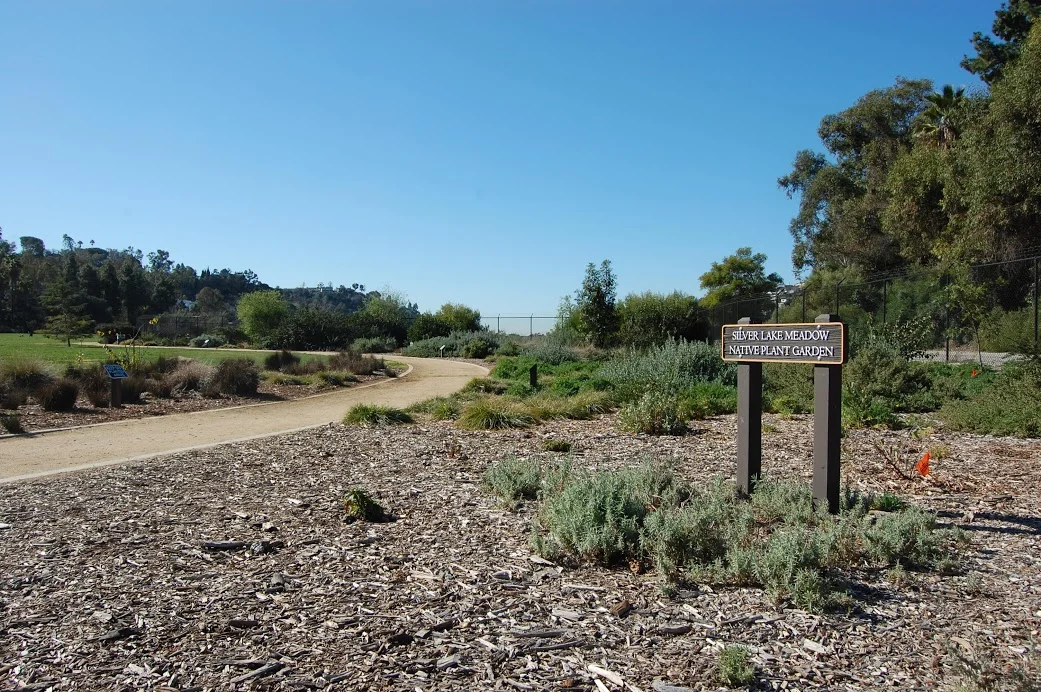 The open green lawn of Silver Lake Meadow beside the reservoir in Silver Lake.