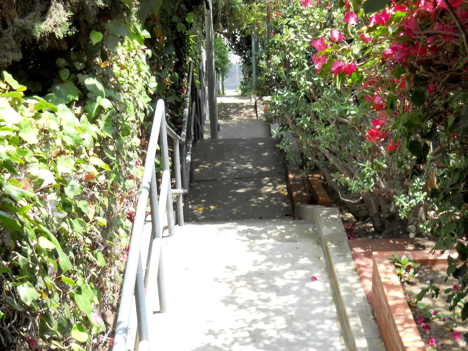 The Music Box Steps, the Laurel and Hardy staircase in Silver Lake, Los Angeles.