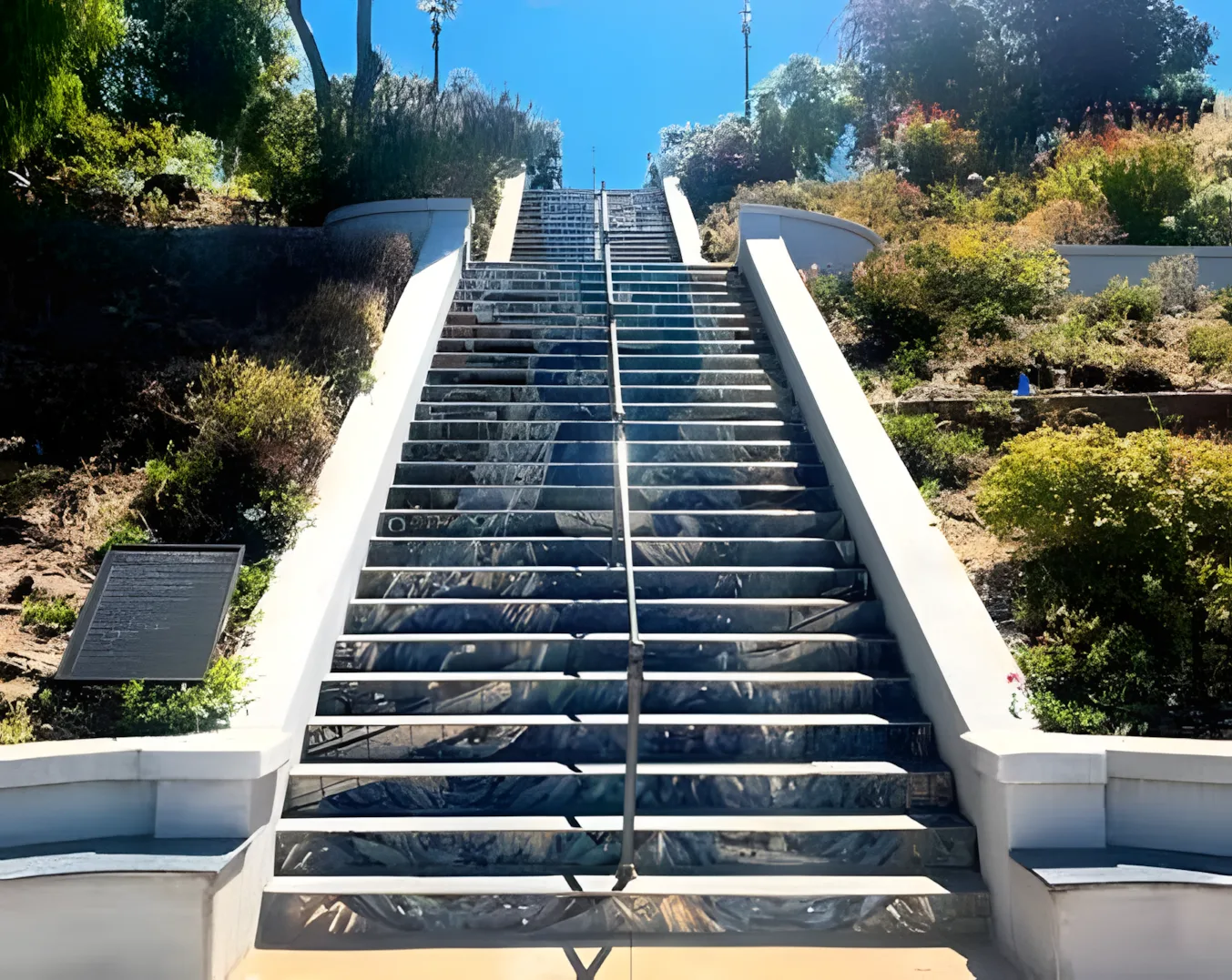 Long concrete public staircase climbing a planted hillside