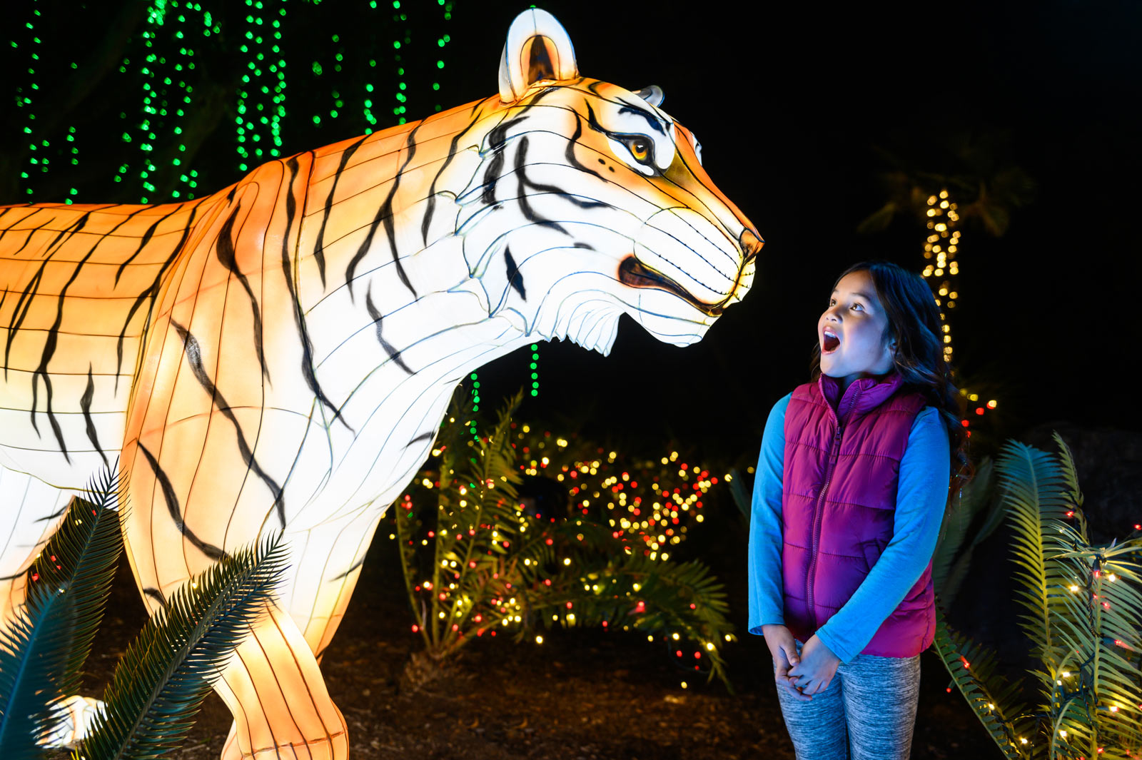Illuminated animal light displays glow at night during L.A. Zoo Lights at the Los Angeles Zoo.