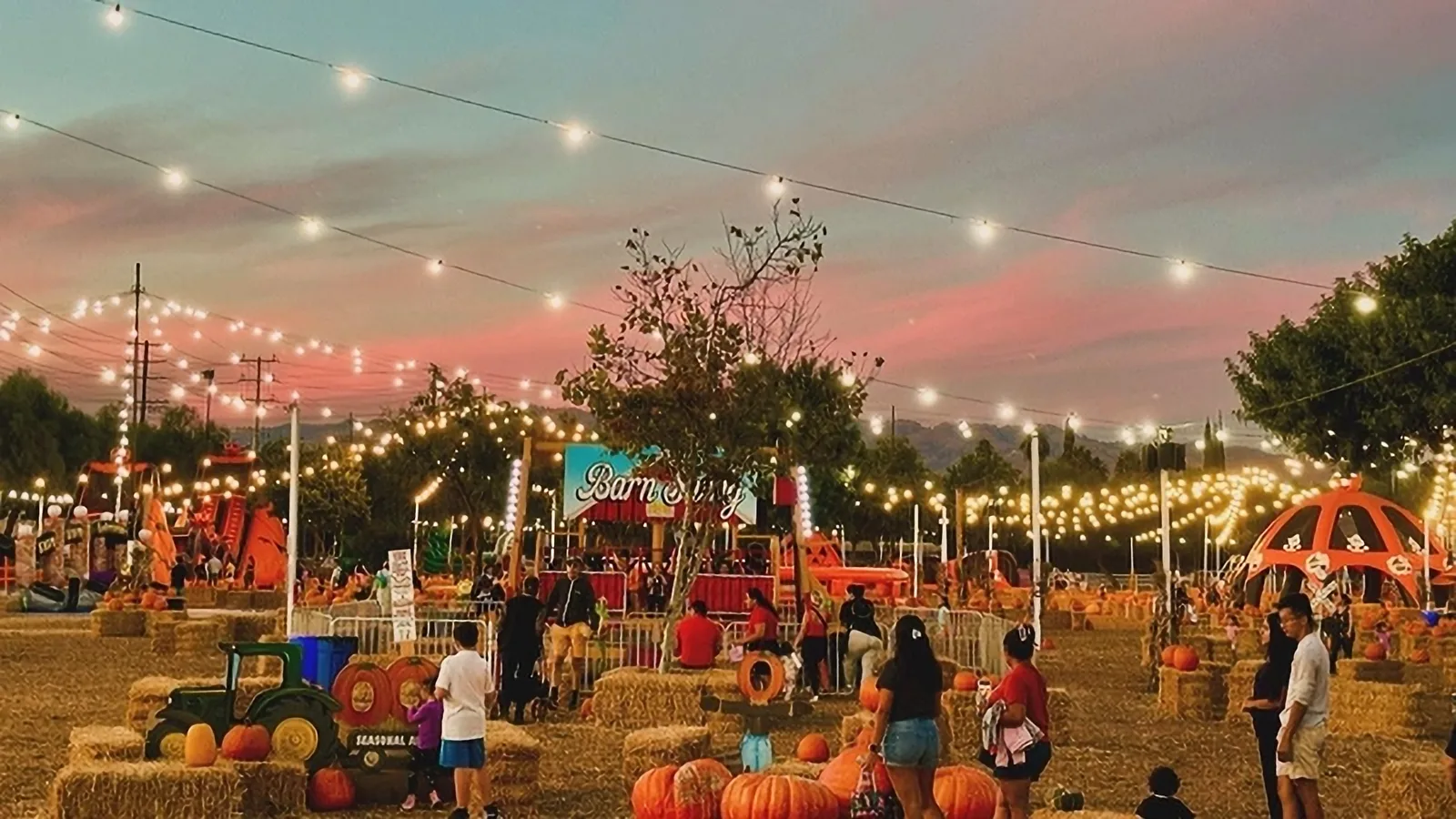View of the Seasonal Adventures Pumpkin Patch at Pierce College.
