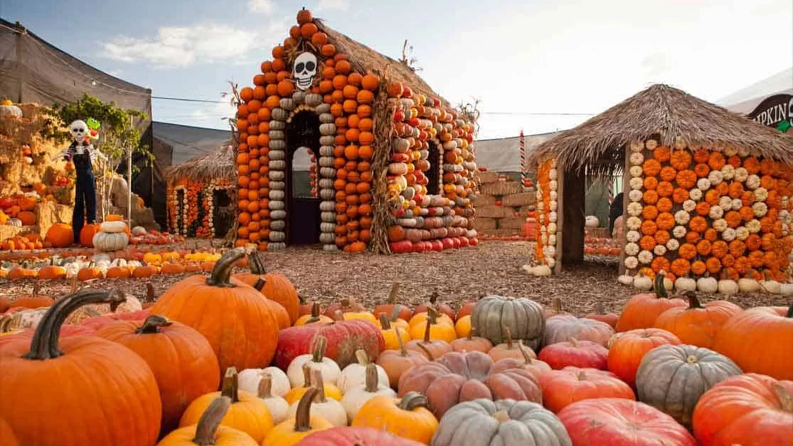 Large pumpkin slide at Mr. Bones Pumpkin Patch.