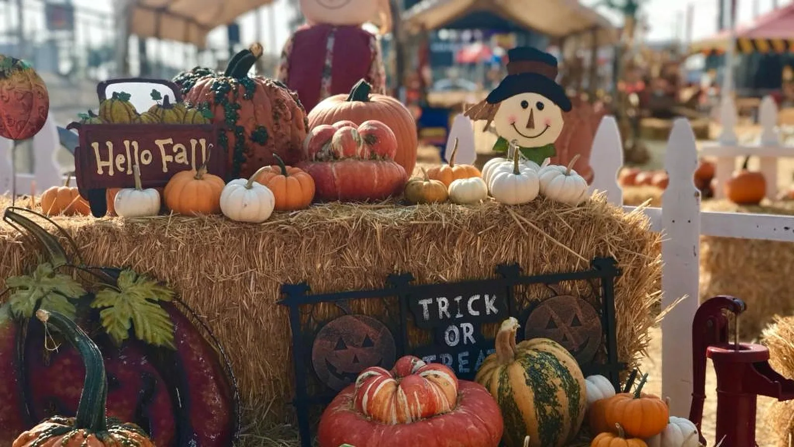 Pumpkin and hay display at Shawn's Pumpkin Patch.