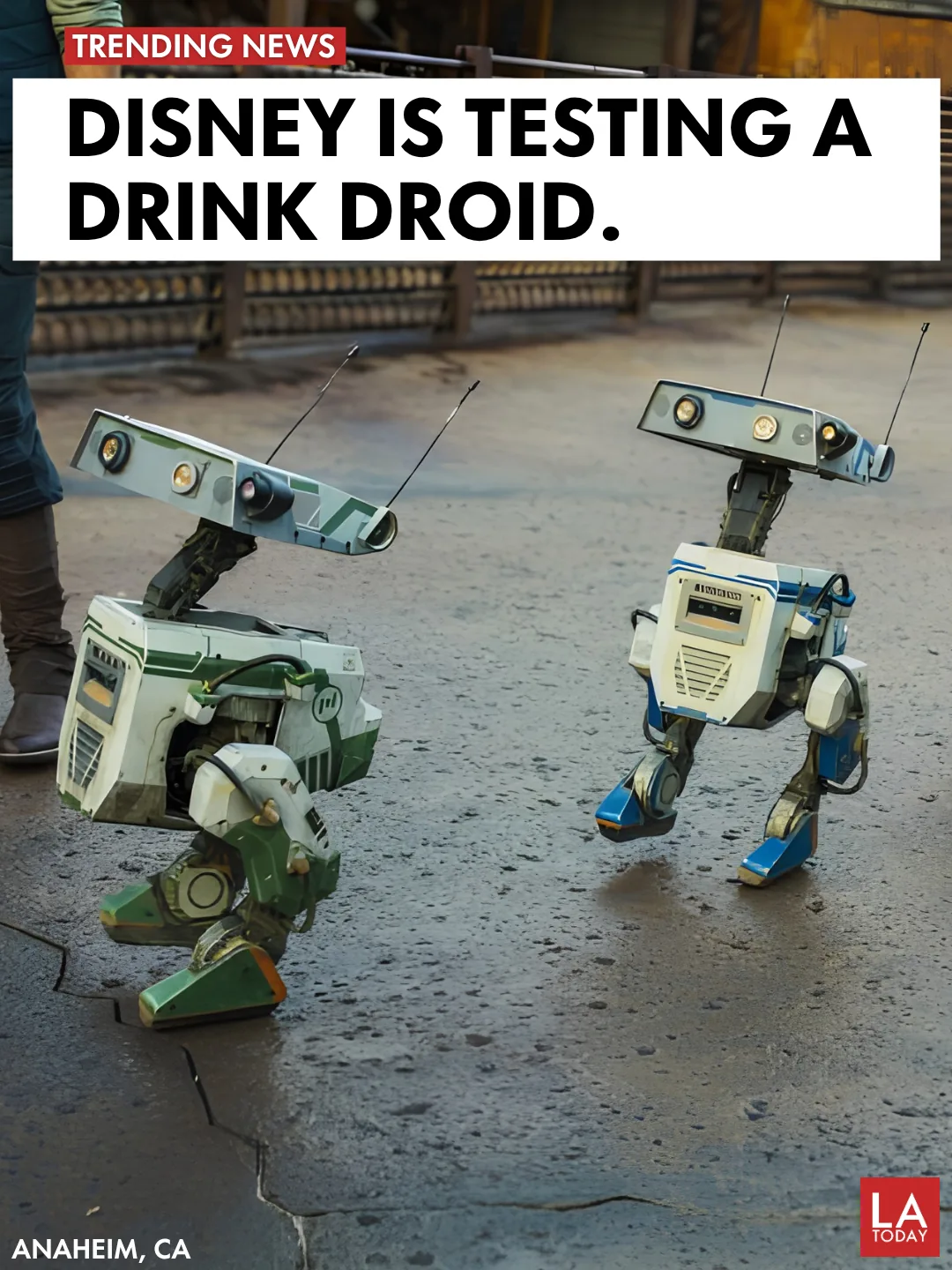 BDX droids walking through Star Wars: Galaxy's Edge at Disneyland