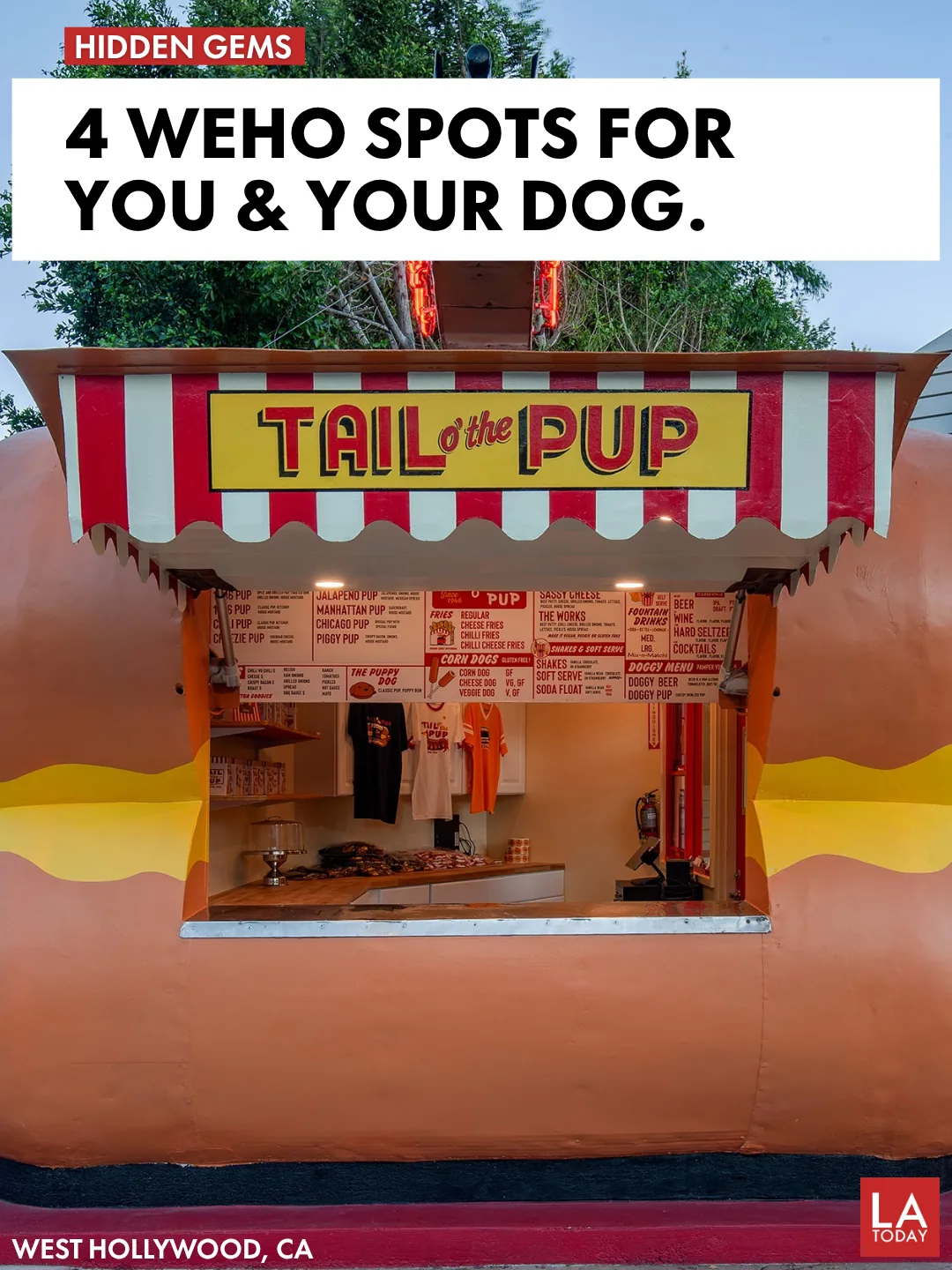 Dog at Tail o' the Pup in West Hollywood, one of four spots with published dog policies